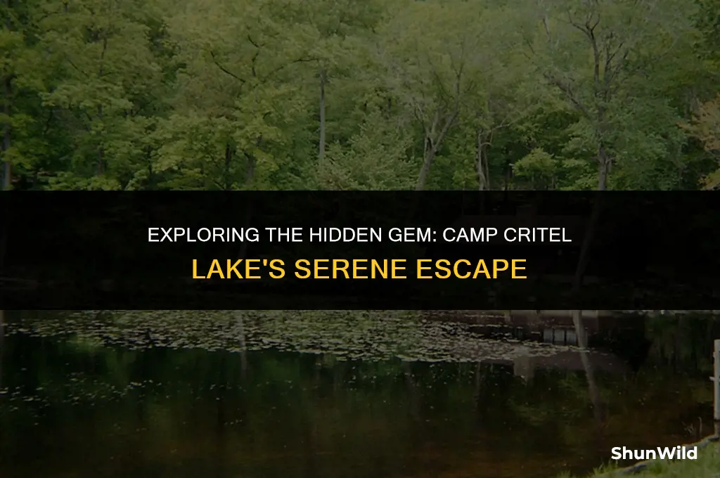 where is camp critel lake