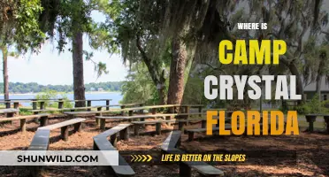 Discovering Camp Crystal: A Hidden Gem in Florida's Wilderness