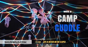 Exploring the Enchanting World of Camp Cuddle: Where Dreams Come True