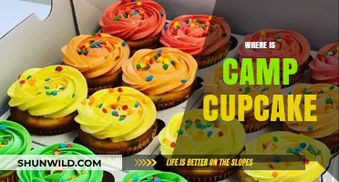 Sweet Adventures: Unveiling the Whimsical World of Camp Cupcake