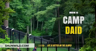 Unveiling the Mystery: Where is Camp Daid Located?