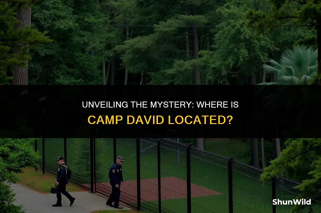 where is camp davif