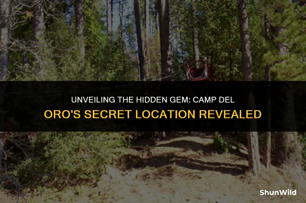 where is camp del oro
