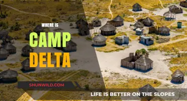 Unveiling the Mystery: Where is Camp Delta Located?
