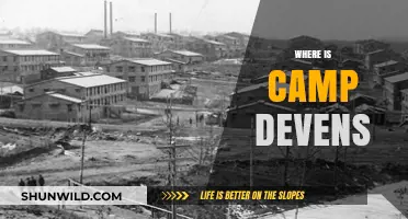 Unveiling the Historic Camp Devens: A Journey Through Time and Terrain