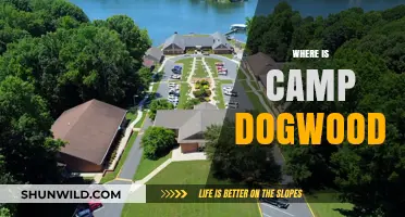 Exploring the Hidden Gem: Camp Dogwood's Serene Retreat