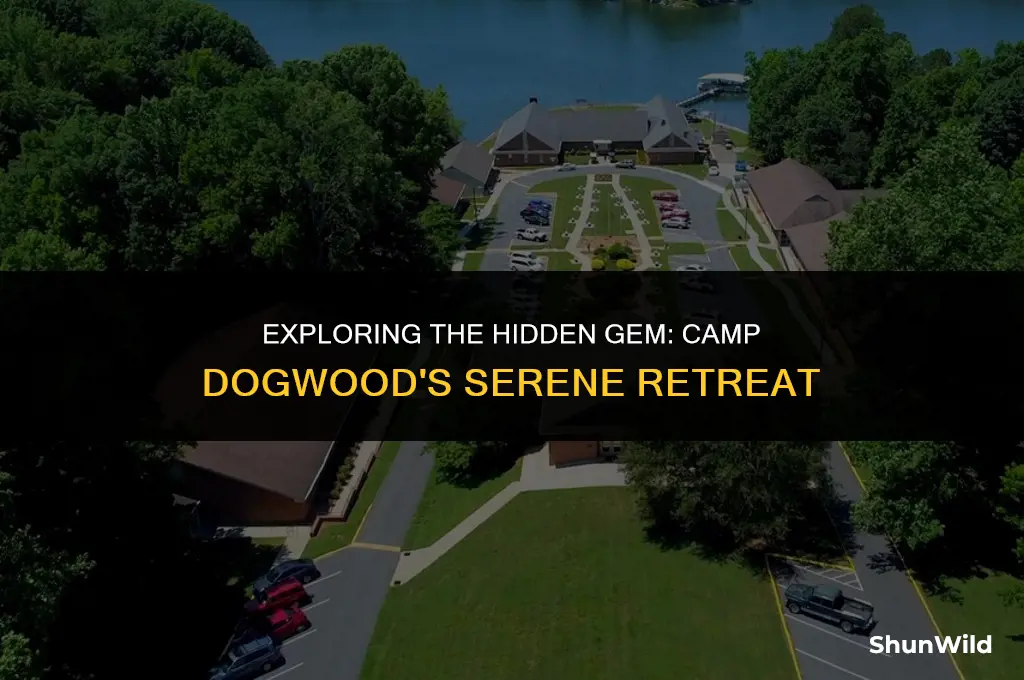 where is camp dogwood