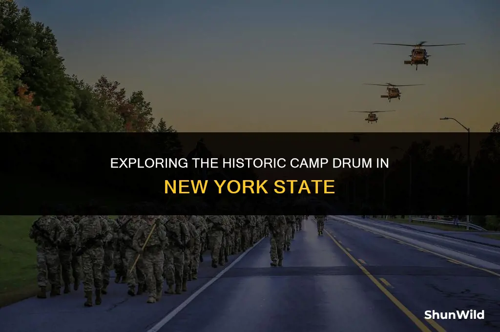 where is camp drum ny