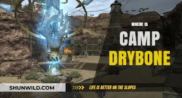 Exploring the Haunting Beauty of Camp Drybone: A Journey into the Unknown