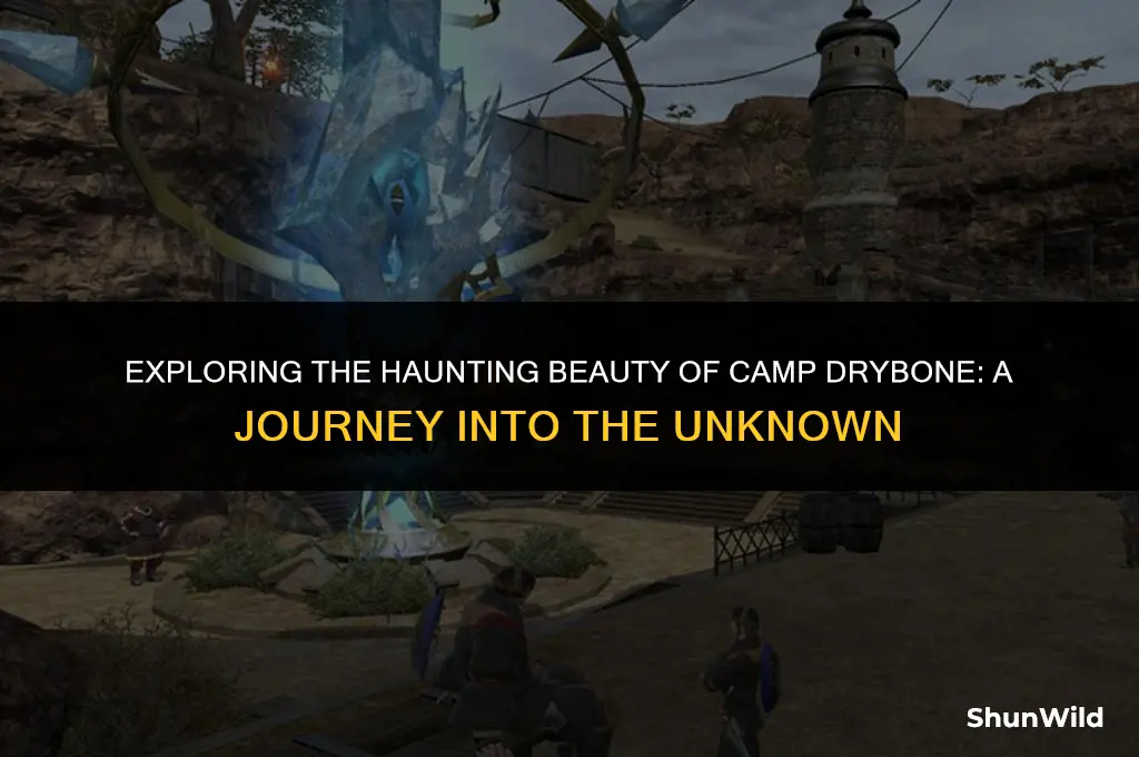 where is camp drybone