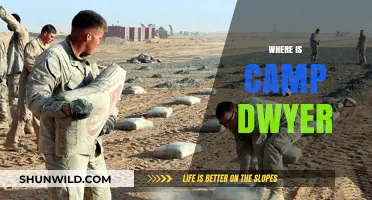 Unveiling the Mystery: Where is Camp Dwyer Located?