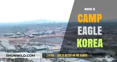 Exploring Camp Eagle: A Hidden Gem in Korea's Countryside