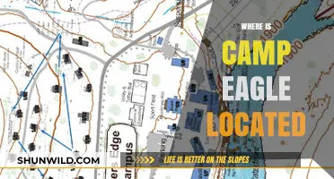 Unveiling the Mystery: Camp Eagle's Hidden Location Revealed