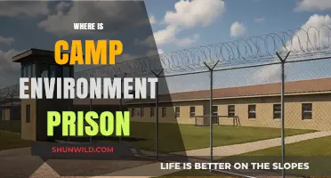 Unveiling the Truth: Inside the Notorious Camp Environment Prison