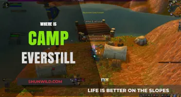 Exploring the Enchanting Wilderness of Camp Everstill: A Hidden Gem
