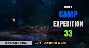 Exploring the Unknown: Camp Expedition 33's Journey Unveiled