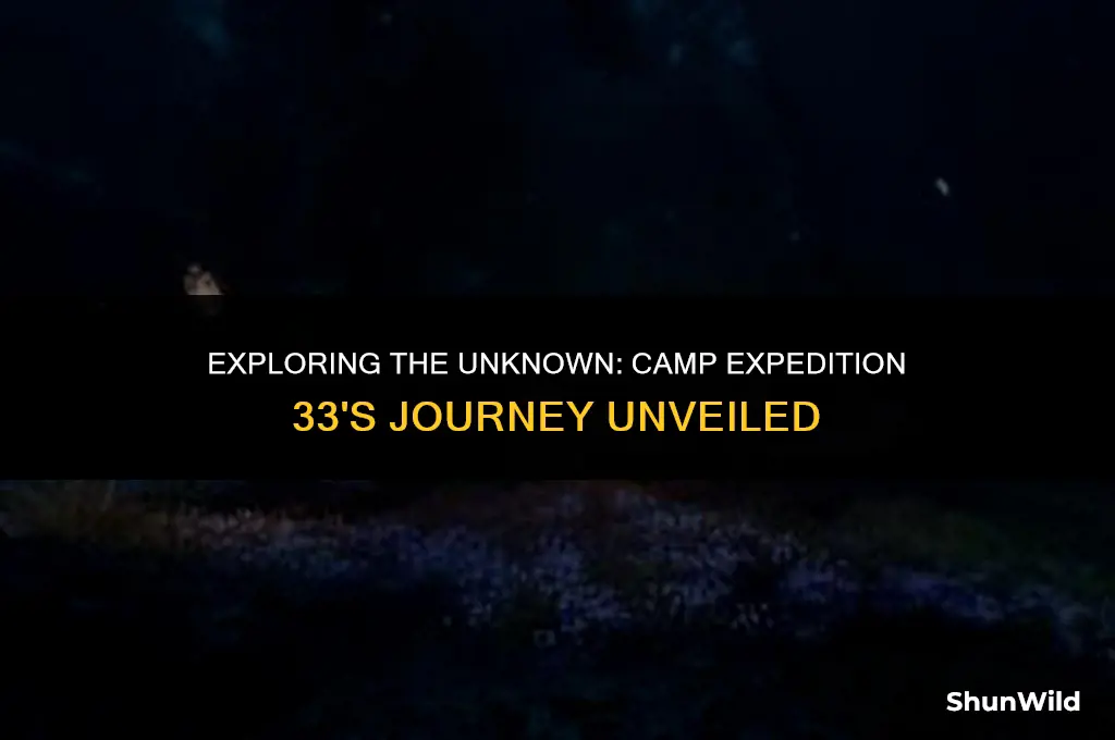 where is camp expedition 33