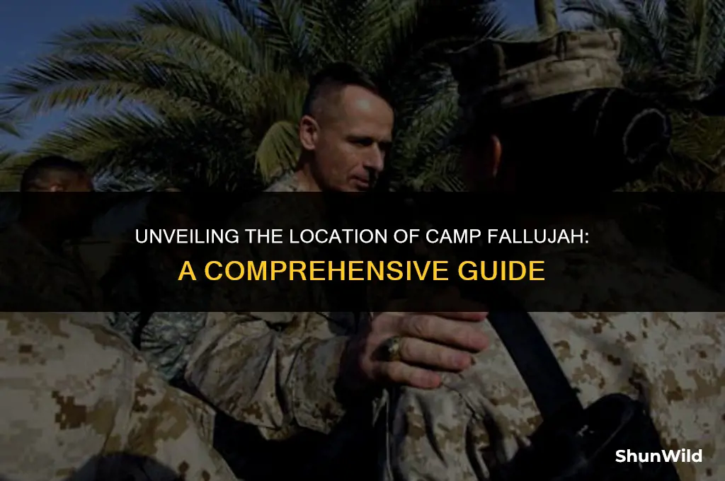 where is camp fallujah