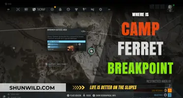 Exploring the Elusive Camp Ferret Breakpoint: A Comprehensive Guide
