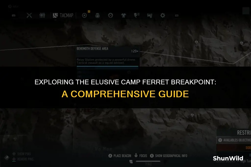 where is camp ferret breakpoint
