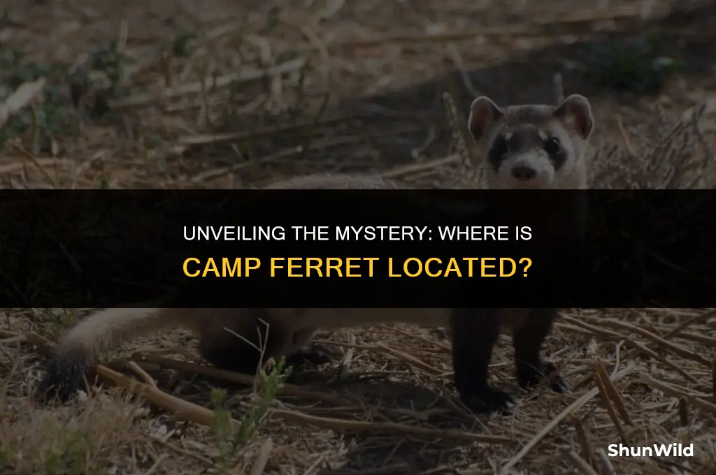 where is camp ferret