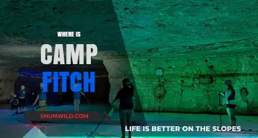 Exploring the Enchanting Wilderness of Camp Fitch: A Journey Unveiled