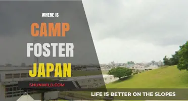 Discovering Camp Foster: A Hidden Gem in Okinawa, Japan