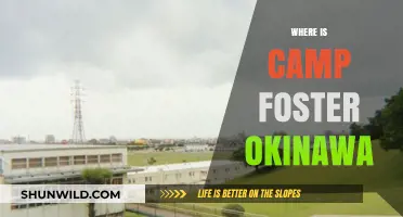 Discovering Camp Foster: A Hidden Gem in Okinawa's Landscape