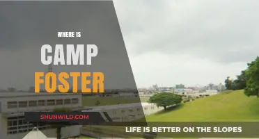 Exploring Okinawa: A Guide to Camp Foster's Location and Surroundings