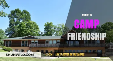 Discovering the Magic: Where Camp Friendship Blossoms