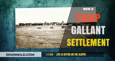 Exploring the Enigmatic Camp Gallant Settlement: A Journey Unveiled