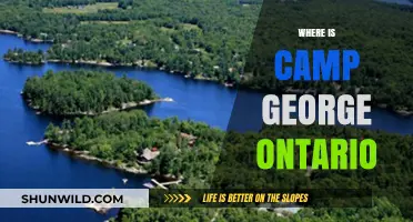 Exploring Camp George: A Hidden Gem in Ontario's Wilderness