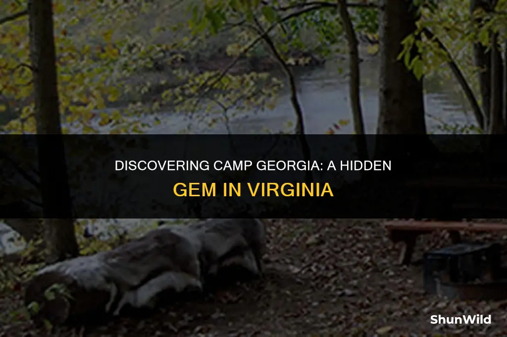 where is camp georgia virginia