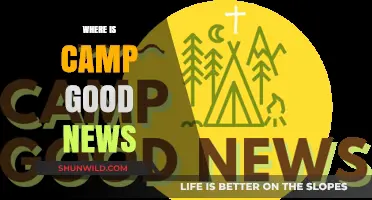 Discovering Joy: The Ultimate Guide to Camp Good News