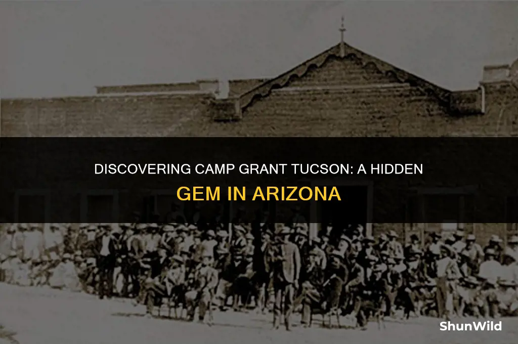 where is camp grant tucson