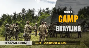 Discovering Camp Grayling: A Hidden Gem in Michigan's Wilderness