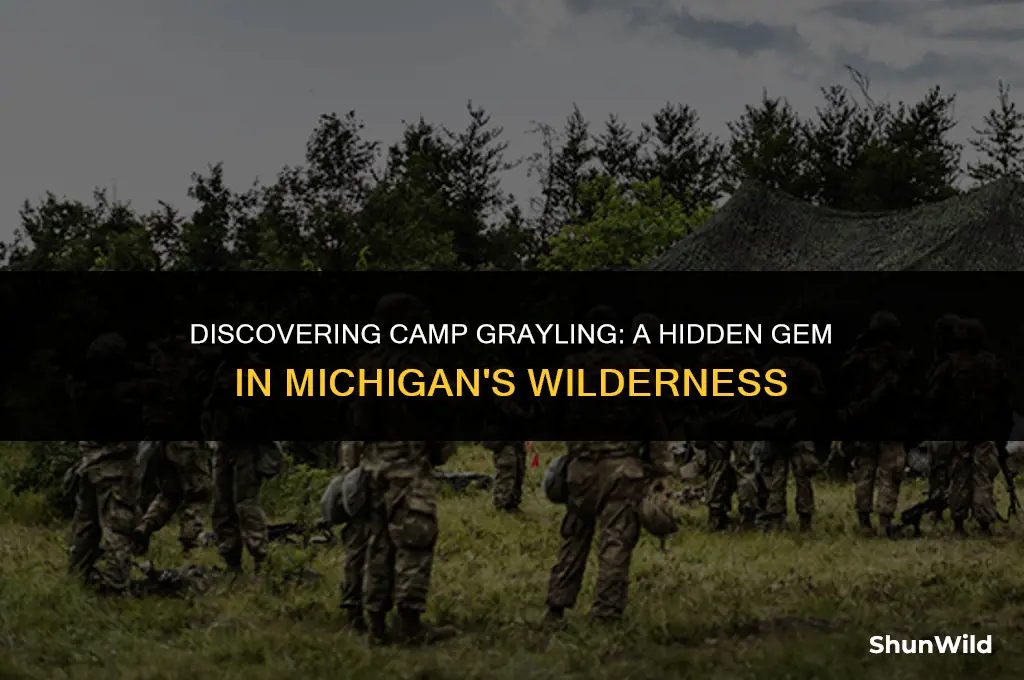where is camp grayling