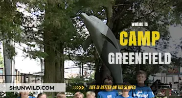 Exploring the Mythical Camp Greenfield: A Journey into the Unknown
