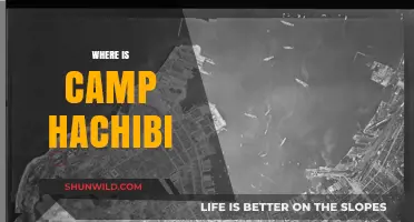 Exploring the Enchanting Wilderness of Camp Hachibi: A Hidden Gem