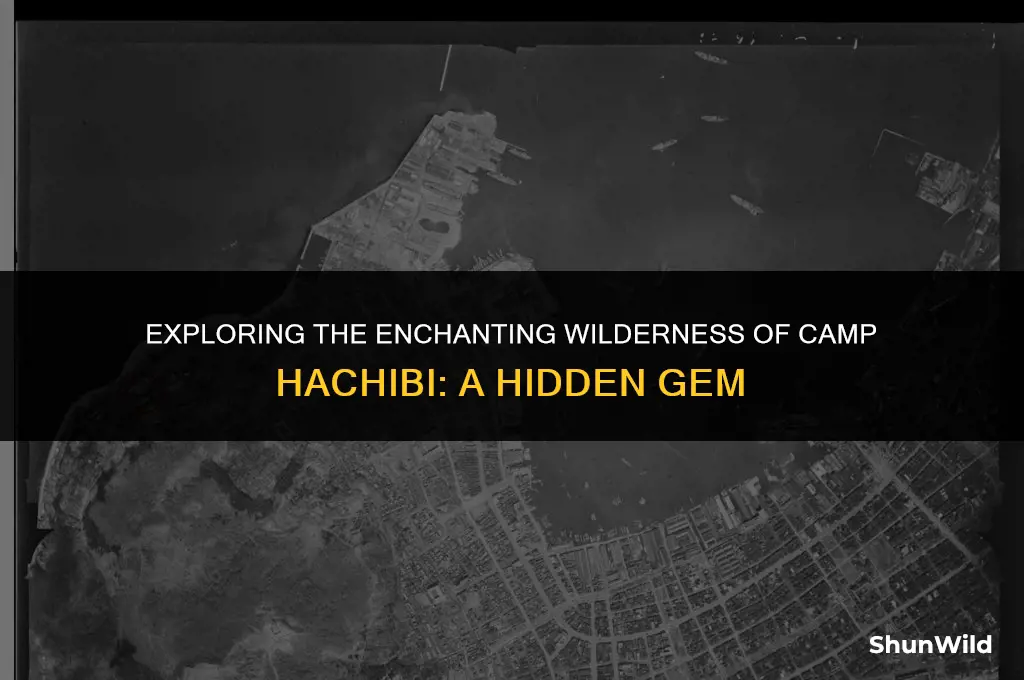 where is camp hachibi
