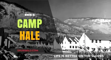Unveiling the Mystery: Where is Camp Hale Located?