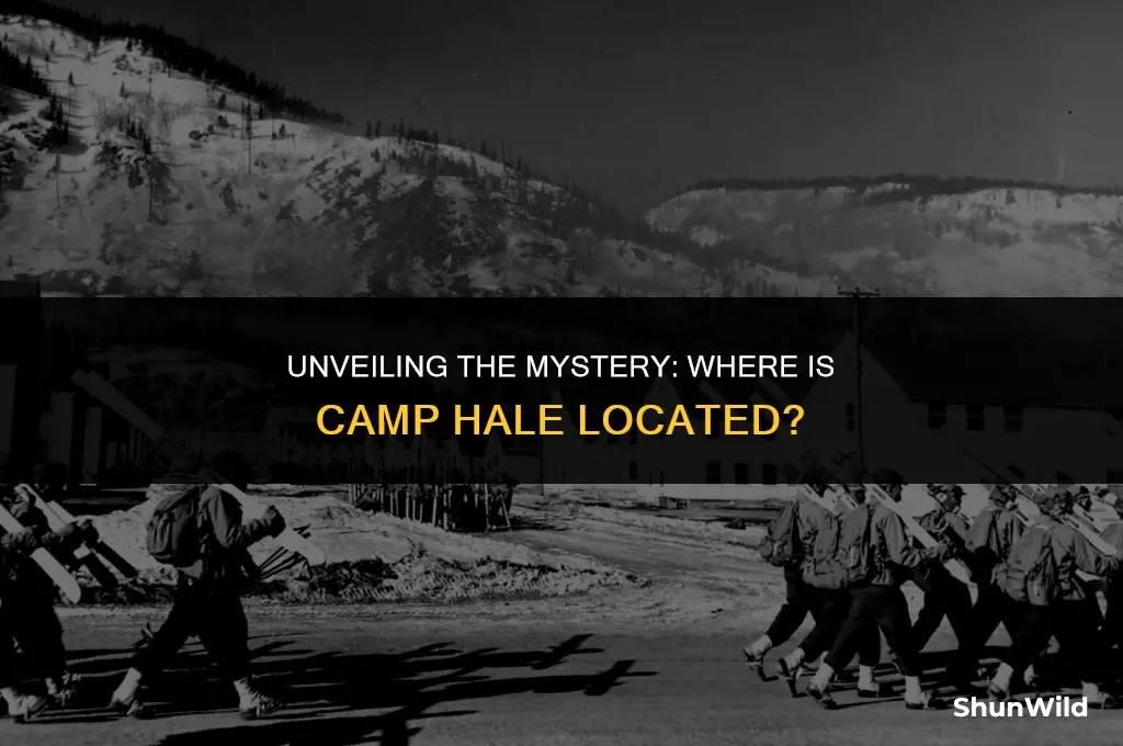 where is camp hale