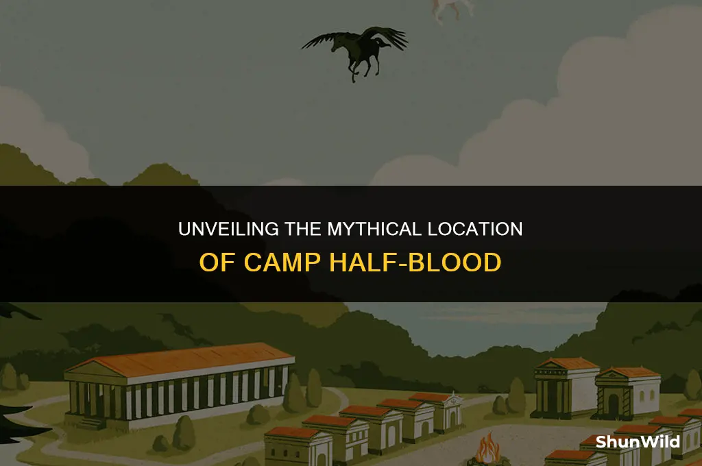 where is camp halfblood located