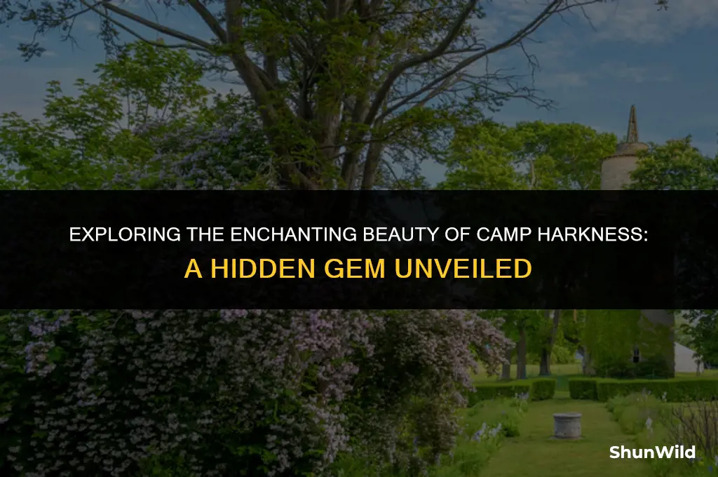 where is camp harkness