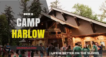 Exploring the Hidden Gem: Camp Harlow's Secret Location Revealed