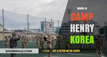 Discovering Camp Henry: A Hidden Gem in Korea's Countryside