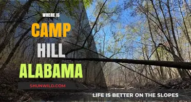 Discovering Camp Hill, Alabama: A Hidden Gem in the Heart of Dixie