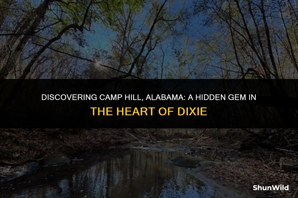 where is camp hill alabama