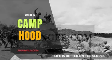 Exploring Camp Hood: A Journey to the Heart of Texas