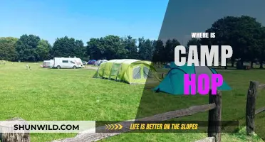 Exploring the Mythical Camp Hop: Where Music and Nature Unite